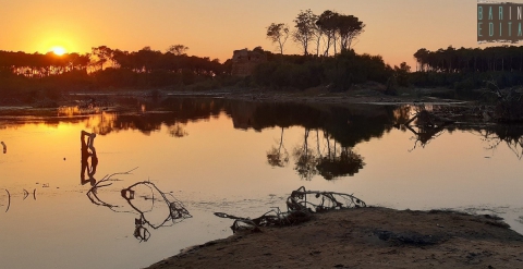 Laghi, pinete e torri del 500: tra Puglia e Basilicata c'� l'incantevole riserva Stornara